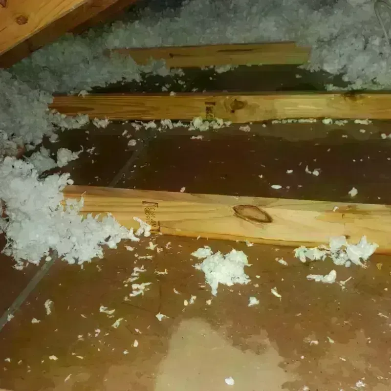 Attic Water Damage in Glasgow, MO