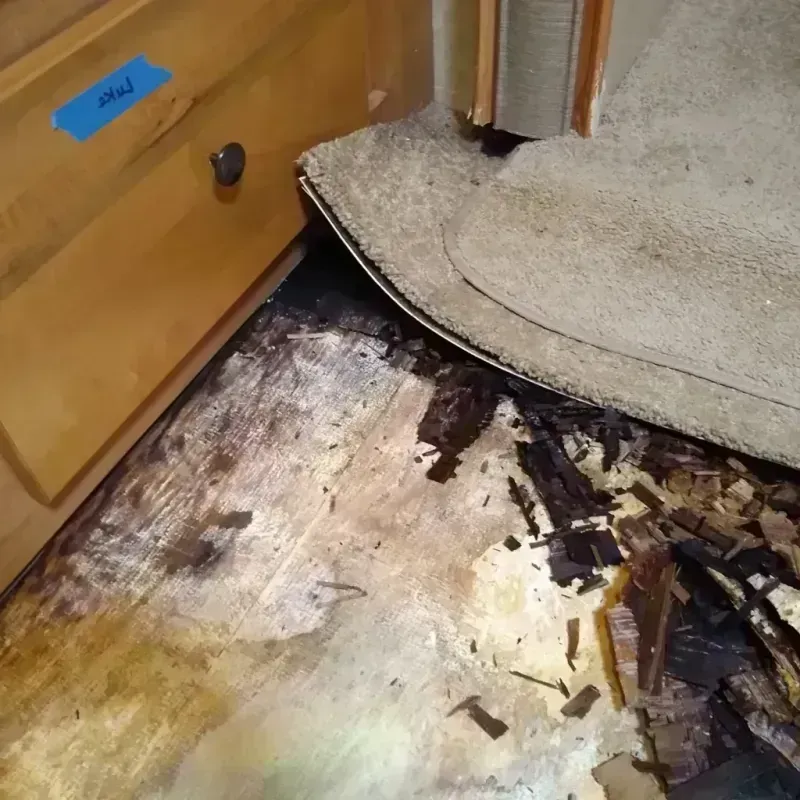 Wood Floor Water Damage in Glasgow, MO